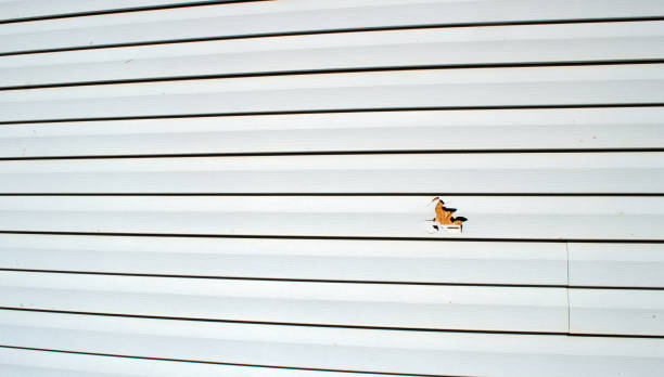 Best James Hardie Siding  in Pullman, WA
